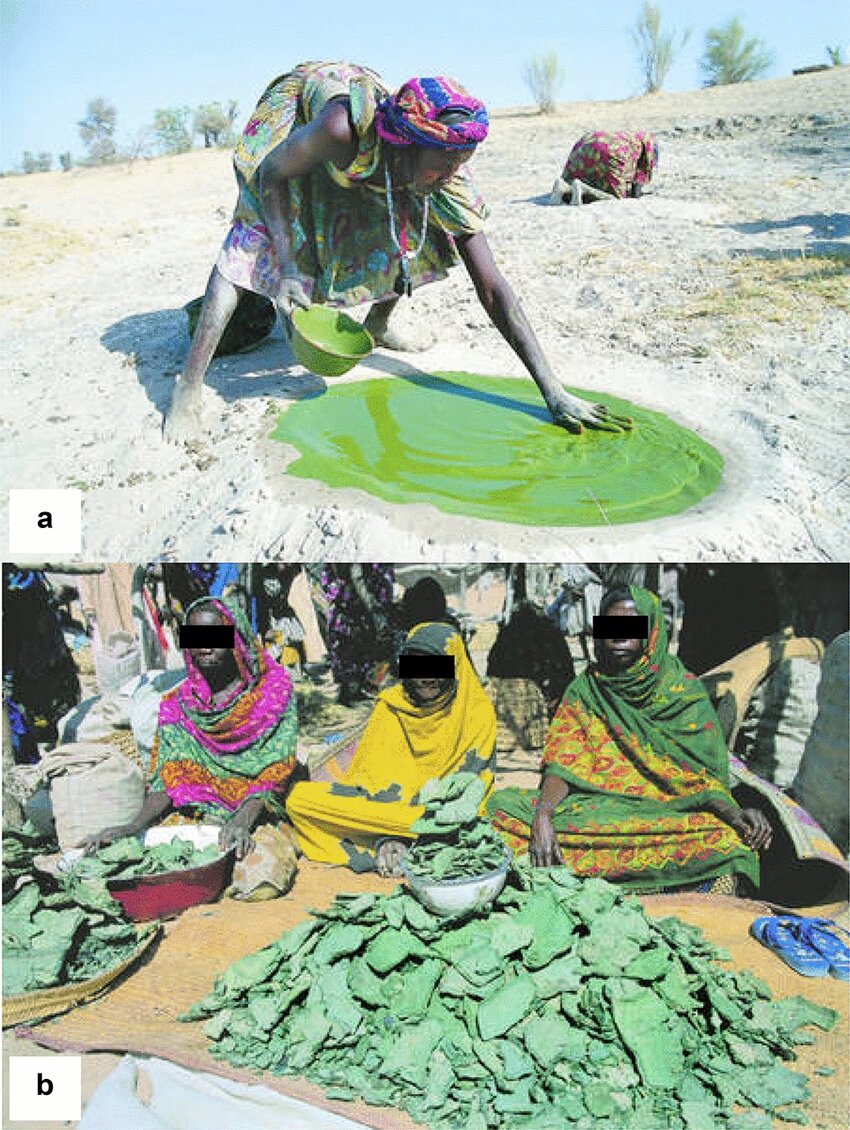 آنها "دیهه (Dihe)" یا اسپیرولینای خشک شده را در انواع خوراک‌ها استفاده مینمایند